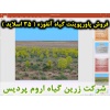 آنغوزه, گیاه آنغوزه, پاورپوینت آنغوزه, ارائه آنغوزه, دانلود پاورپوینت آنغوزه, اسلاید آنغوزه برای ارائه در کلاس, کاشت آنغوزه, کشت آنغوزه, داشت آنغوزه, برداشت آنغوزه, گیاهشناسی آنغوزه, نیازهای اکولوژیکی آنغوزه, محصولات تولیدی آنغوزه, نام فارسی آنغوزه, نام ع