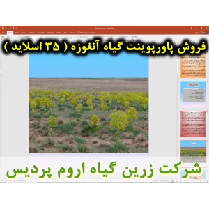 آنغوزه, گیاه آنغوزه, پاورپوینت آنغوزه, ارائه آنغوزه, دانلود پاورپوینت آنغوزه, اسلاید آنغوزه برای ارائه در کلاس, کاشت آنغوزه, کشت آنغوزه, داشت آنغوزه, برداشت آنغوزه, گیاهشناسی آنغوزه, نیازهای اکولوژیکی آنغوزه, محصولات تولیدی آنغوزه, نام فارسی آنغوزه, نام ع