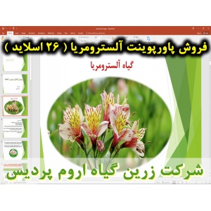 آلسترومریا, پاورپوینت آلسترومریا, ارائه آلسترومریا, دانلود پاورپوینت آلسترومریا, اسلاید آلسترومریا برای ارائه در کلاس, گیاه شناسی آلسترومریا, کاشت و بستر آلسترومریا, شرایط محیطی تولید آلسترومریا, دما مورد نیاز آلسترومریا, نور مورد نیاز آلسترومریا, آبیاری 