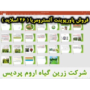 آلسترومریا, پاورپوینت آلسترومریا, ارائه آلسترومریا, دانلود پاورپوینت آلسترومریا, اسلاید آلسترومریا برای ارائه در کلاس, گیاه شناسی آلسترومریا, کاشت و بستر آلسترومریا, شرایط محیطی تولید آلسترومریا, دما مورد نیاز آلسترومریا, نور مورد نیاز آلسترومریا, آبیاری 