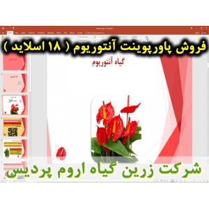 آنتوریوم, گیاه آنتوریوم, گل و گیاه زینتی, پاورپوینت آنتوریوم, ارائه آنتوریوم, دانلود پاورپوینت آنتوریوم, اسلاید آنتوریوم  برای ارائه در کلاس, گیاه شناسی آنتوریوم, اسم علمی آنتوریوم, اسم انگلیسی آنتوریوم, خانواده آنتوریوم, گیاه شناسی آنتوریوم, زیستگاه و پر