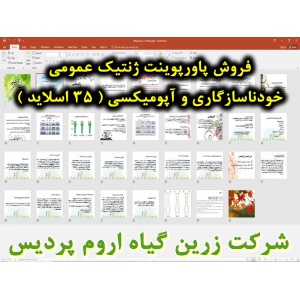 ژنتیک عمومی, خود ناسازگاری و آپومیکسی, پاورپوینت خود ناسازگاری و آپومیکسی, ارائه خود ناسازگاری و آپومیکسی, دانلود پاورپوینت خود ناسازگاری و آپومیکسی, اسلاید خود ناسازگاری و آپومیکسی برای ارائه در کلاس, دلایل خود ناسازگاری, سیستم های خودناسازگاری, هترومورف