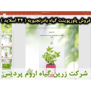 بادرنجبویه, گیاه بادرنجبویه, پاورپوینت بادرنجبویه, ارائه بادرنجبویه, دانلود پاورپوینت بادرنجبویه, اسلاید بادرنجبویه برای ارائه در کلاس, گیاه شناشی بادرنجبویه, برداشت بادرنجبویه, مشخصات گیاه بادرنجبویه, نام انگلیسی بادرنجبویه, نام علمی بادرنجبویه, خانواده 