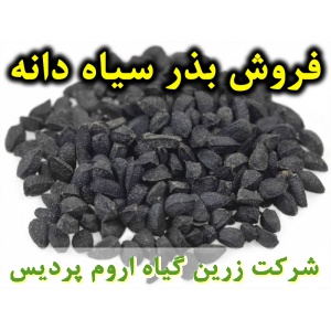 سیاه دانه, بذر سیاه دانه, فروش بذر سیاه دانه, خرید بذر سیاه دانه, قیمت بذر سیاه دانه, کاشت بذر سیاه دانه, کشت بذر سیاه دانه, زراعت بذر سیاه دانه, تولید بذر سیاه دانه, رشد بذر سیاه دانه, سبز شدن بذر سیاه دانه, بذرگیری از سیاه دانه