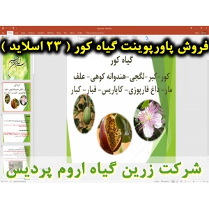 کور, پاورپوینت گیاه کور, ارائه گیاه کور, دانلود پاورپوینت گیاه کور, اسلاید گیاه کور برای ارائه در کلاس, گیاه کور,کبر, لگجی, هندوانه کوهی, علف مار, داغ قارپوزی, کاپاریس, قبار, کبار, گیاه شناسی گیاه کور, نیازهای اکولوژی گیاه کور, آفات و بیماری های گیاه کور,