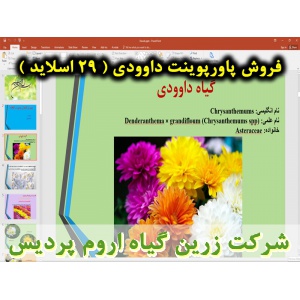 داوودی, گل داوودی, پاورپوینت داوودی, گل زینتی, ارائه داوودی, دانلود پاورپوینت داوودی, اسلاید داوودی برای ارائه در کلاس, گیاهشناسی داوودی, رقم های داوودی, ویژگی‌های گل داوودی, کاربرد تجاری داوودی, واکنش به طول روز,کاشت داوودی, بستر داوودی, تکثیر داوودی, تک