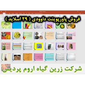 داوودی, گل داوودی, پاورپوینت داوودی, گل زینتی, ارائه داوودی, دانلود پاورپوینت داوودی, اسلاید داوودی برای ارائه در کلاس, گیاهشناسی داوودی, رقم های داوودی, ویژگی‌های گل داوودی, کاربرد تجاری داوودی, واکنش به طول روز,کاشت داوودی, بستر داوودی, تکثیر داوودی, تک