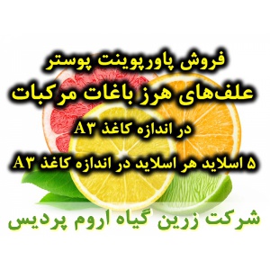 علف‌های هرز باغات مرکبات, پاورپوینت علف‌های هرز باغات مرکبات, پوستر در اندازه کاغذ A3, دانلود پاورپوینت علف‌های هرز باغات مرکبات, اسلاید علف‌های هرز باغات مرکبات برای ارائه در کلاس, ارائه علف‌های هرز باغات مرکبات, دم روباهی, تاج ریزی, تاج خروس وحشی, پیچک 