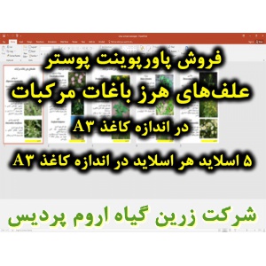 علف‌های هرز باغات مرکبات, پاورپوینت علف‌های هرز باغات مرکبات, پوستر در اندازه کاغذ A3, دانلود پاورپوینت علف‌های هرز باغات مرکبات, اسلاید علف‌های هرز باغات مرکبات برای ارائه در کلاس, ارائه علف‌های هرز باغات مرکبات, دم روباهی, تاج ریزی, تاج خروس وحشی, پیچک 