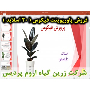 فیکوس, گیاه فیکوس, گل و گیاه زینتی, پاورپوینت فیکوس, ارائه فیکوس, دانلود پاورپوینت فیکوس, اسلاید فیکوس  برای ارائه در کلاس, گیاه شناسی فیکوس, اسم علمی فیکوس, اسم انگلیسی فیکوس, خانواده فیکوس, گیاه شناسی فیکوس, زادگاه گیاه فیکوس, شرایط نگه داری فیکوس الاست