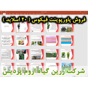 فیکوس, گیاه فیکوس, گل و گیاه زینتی, پاورپوینت فیکوس, ارائه فیکوس, دانلود پاورپوینت فیکوس, اسلاید فیکوس  برای ارائه در کلاس, گیاه شناسی فیکوس, اسم علمی فیکوس, اسم انگلیسی فیکوس, خانواده فیکوس, گیاه شناسی فیکوس, زادگاه گیاه فیکوس, شرایط نگه داری فیکوس الاست