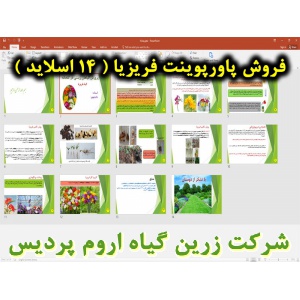 فریزیا, گیاه فریزیا, گل و گیاه زینتی, پاورپوینت فریزیا, ارائه فریزیا, دانلود پاورپوینت فریزیا, اسلاید فریزیا  برای ارائه در کلاس, گیاه شناسی فریزیا, اسم علمی فریزیا, اسم انگلیسی فریزیا, خانواده فریزیا, شرایط محیطی تولید فریزیا, دمای مناسب فریزیا, نور مناس