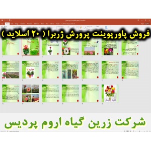 ژربرا, پاورپوینت ژربرا, ارائه ژربرا, دانلود پاورپوینت ژربرا, اسلاید ژربرا برای ارائه در کلاس, نام انگلیسی ژربرا, نام علمی ژربرا, تیره ژربرا, گیاه شناسی ژربرا, شرایط محیطی مناسب ژربرا, طول روز مناسب ژربرا, دمای مناسب ژربرا, نور مناسب ژربرا, آبیاری مناسب ژر