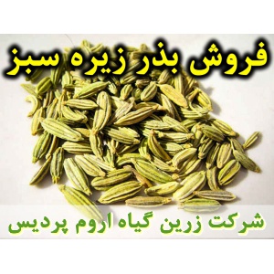 زیره سبز, بذر زیره سبز, فروش بذر زیره سبز, خرید بذر زیره سبز, قیمت بذر زیره سبز, کاشت بذر زیره سبز, کشت بذر زیره سبز, زراعت بذر زیره سبز, تولید بذر زیره سبز, رشد بذر زیره سبز, سبز شدن بذر زیره سبز, بذرگیری از زیره سبز