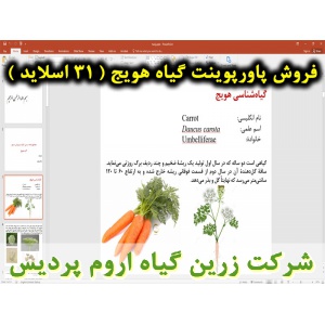 هویج, پاورپوینت هویج, ارائه هویج, دانلود پاورپوینت هویج, اسلاید هویج  برای ارائه در کلاس, گیاه‌شناسی هویج, نام انگلیسی هویج, اسم علمی هویج, خانواده هویج, منشأ هویج, طبقه بندی هویج, ارزش غذایی هویج, اهمیت اقتصادی هویج, شرایط آب و هوایی مناسب برای کاشت هویج