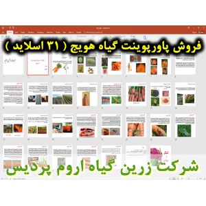 هویج, پاورپوینت هویج, ارائه هویج, دانلود پاورپوینت هویج, اسلاید هویج  برای ارائه در کلاس, گیاه‌شناسی هویج, نام انگلیسی هویج, اسم علمی هویج, خانواده هویج, منشأ هویج, طبقه بندی هویج, ارزش غذایی هویج, اهمیت اقتصادی هویج, شرایط آب و هوایی مناسب برای کاشت هویج
