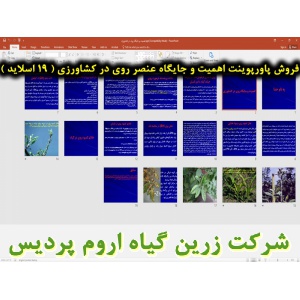 روی, عنصر روی, پاورپوینت اهمیت و جایگاه عنصر روی در کشاورزی, ارائه اهمیت و جایگاه عنصر روی در کشاورزی, دانلود پاورپوینت اهمیت و جایگاه عنصر روی در کشاورزی, اسلاید اهمیت و جایگاه عنصر روی در کشاورزی برای ارائه در کلاس, اهمیت و جایگاه روی در کشاورزی, علائم 