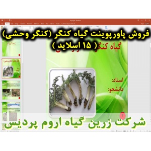 کنگر, پاورپوینت کنگر, ارائه کنگر, دانلود پاورپوینت کنگر, اسلاید کنگر  برای ارائه در کلاس, کنگر خوراکی, گیاه کنگر, کنگر وحشی, گیاه شناسی کنگر, نام انگلیسی کنگر, نام علمی کنگر, خانواده کنگر, برگ کنگر, ساقه کنگر, گل کنگر, موسم کنگر, قسمت خوراکی کنگر, وزن هزا
