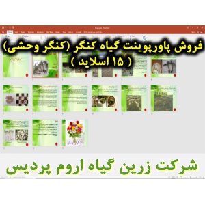 کنگر, پاورپوینت کنگر, ارائه کنگر, دانلود پاورپوینت کنگر, اسلاید کنگر  برای ارائه در کلاس, کنگر خوراکی, گیاه کنگر, کنگر وحشی, گیاه شناسی کنگر, نام انگلیسی کنگر, نام علمی کنگر, خانواده کنگر, برگ کنگر, ساقه کنگر, گل کنگر, موسم کنگر, قسمت خوراکی کنگر, وزن هزا