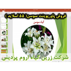 سوسن لیلیوم, گل سوسن لیلیوم, پاورپوینت سوسن لیلیوم, گل زینتی, ارائه سوسن لیلیوم, دانلود پاورپوینت سوسن لیلیوم, اسلاید سوسن لیلیوم برای ارائه در کلاس, گیاه شناسی, چرخه رشد, کاشت, بستر کاشت, انتخاب رقم سوسن, شرایط محیطی تولید سوسن, دمای مورد نیاز سوسن , نور
