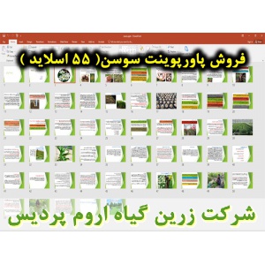 سوسن لیلیوم, گل سوسن لیلیوم, پاورپوینت سوسن لیلیوم, گل زینتی, ارائه سوسن لیلیوم, دانلود پاورپوینت سوسن لیلیوم, اسلاید سوسن لیلیوم برای ارائه در کلاس, گیاه شناسی, چرخه رشد, کاشت, بستر کاشت, انتخاب رقم سوسن, شرایط محیطی تولید سوسن, دمای مورد نیاز سوسن , نور