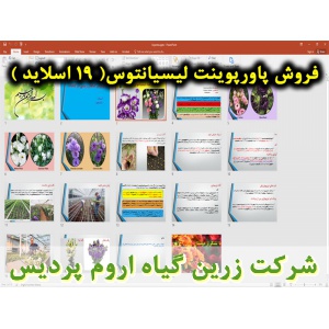 لیسیانتوس, گل لیسیانتوس, پاورپوینت لیسیانتوس, گل زینتی, ارائه لیسیانتوس, دانلود پاورپوینت لیسیانتوس, اسلاید لیسیانتوس برای ارائه در کلاس, گیاه شناسی لیسیانتوس, کاشت لیسیانتوس, بستر لیسیانتوس, شرایط محیطی تولید لیسیانتوس, دمای موردنیاز لیسیانتوس, نور موردن