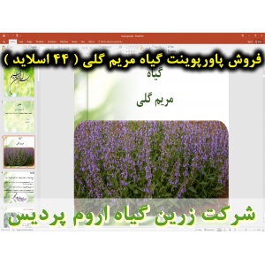 مریم گلی دارویی, پاورپوینت مریم گلی دارویی, ارائه مریم گلی دارویی, دانلود پاورپوینت مریم گلی دارویی, اسلاید مریم گلی دارویی  برای ارائه در کلاس, گیاه مریم گلی دارویی, تاریخچه مریم گلی دارویی, نام انگلیسی مریم گلی دارویی, نام علمی مریم گلی دارویی, خانواده 