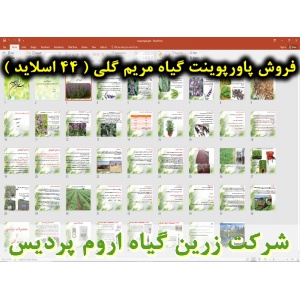 مریم گلی دارویی, پاورپوینت مریم گلی دارویی, ارائه مریم گلی دارویی, دانلود پاورپوینت مریم گلی دارویی, اسلاید مریم گلی دارویی  برای ارائه در کلاس, گیاه مریم گلی دارویی, تاریخچه مریم گلی دارویی, نام انگلیسی مریم گلی دارویی, نام علمی مریم گلی دارویی, خانواده 
