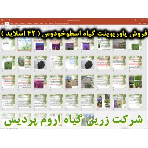 اسطوخودوس, پاورپوینت اسطوخودوس, ارائه اسطوخودوس, دانلود پاورپوینت اسطوخودوس, اسلاید اسطوخودوس  برای ارائه در کلاس, گیاه اسطوخودوس, اسطوخودوس فرانسوی, اسطوخودوس حقیقی, نام انگلیسی گیاه اسطوخودوس, نام علمی گیاه اسطوخودوس, خانواده گیاه اسطوخودوس, تاریخچه گیا