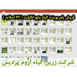 گیاه پنج انگشت, پاورپوینت پنج انگشت, ارائه پنج انگشت, دانلود پاورپوینت پنج انگشت, اسلاید پنج انگشت برای ارائه در کلاس, مقدمه ای بر گیاه پنج انگشت, انتشار جغرافیایی رویشگاه های پنج انگشت, اسامی درخت پنج انگشت, بنگرو, بنگله, درخت پاکدامنی, درخت زنان, فلفل ب