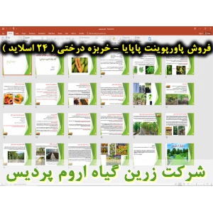 پاپایا, خربزه درختی, میوه گرمسیری, پاورپوینت پاپایا - خربزه درختی, ارائه پاپایا - خربزه درختی, دانلود پاورپوینت پاپایا - خربزه درختی, اسلاید پاپایا - خربزه درختی برای ارائه در کلاس, گیاه شناسی پاپایا, اسم علمی پاپایا, اسم انگلیسی پاپایا, خانواده پاپایا, م
