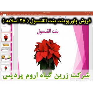 بنت القنسول, گل زینتی, پاورپوینت بنت القنسول, ارائه بنت القنسول, دانلود پاورپوینت بنت القنسول, اسلاید بنت القنسول برای ارائه در کلاس, گیاه شناسی بنت القنسول, گل کریسمس, نام انگلیسی بنت القنسول, نام علمی بنت القنسول, خانواده بنت القنسول, تیره بنت القنسول, 