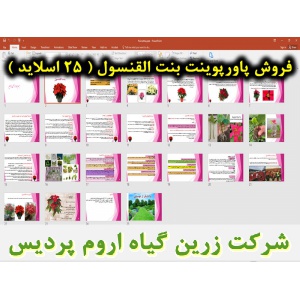 بنت القنسول, گل زینتی, پاورپوینت بنت القنسول, ارائه بنت القنسول, دانلود پاورپوینت بنت القنسول, اسلاید بنت القنسول برای ارائه در کلاس, گیاه شناسی بنت القنسول, گل کریسمس, نام انگلیسی بنت القنسول, نام علمی بنت القنسول, خانواده بنت القنسول, تیره بنت القنسول, 