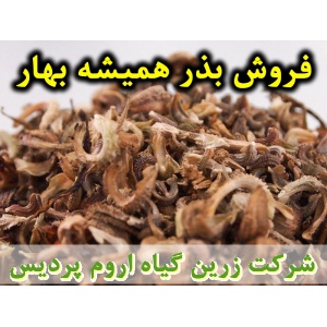 همیشه بهار, بذر همیشه بهار, فروش بذر همیشه بهار, خرید بذر همیشه بهار, قیمت بذر همیشه بهار, کاشت بذر همیشه بهار, کشت بذر همیشه بهار, زراعت بذر همیشه بهار, تولید بذر همیشه بهار, رشد بذر همیشه بهار, سبز شدن بذر همیشه بهار, بذرگیری از همیشه بهار