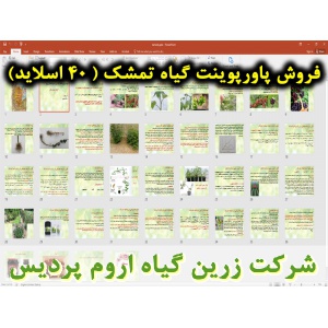 تمشک, پاورپوینت تمشک, ارائه تمشک, دانلود پاورپوینت تمشک, اسلاید تمشک برای ارائه در کلاس, رده‌بندی و مشخصات گیاه‌شناسی تمشک, نام انگلیسی تمشک, نام علمی تمشک, خانواده تمشک, جنس تمشک, تیره تمشک, رشد رویشی بوته‌های تمشک, فیزیولوژی تشکیل گل و میوه تمشک, اجزای 