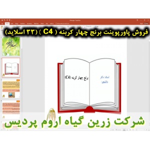 برنج چهار کربنه C4, پاورپوینت برنج چهار کربنه, ارائه برنج چهار کربنه, دانلود پاورپوینت برنج چهار کربنه, اسلاید برنج چهار کربنه برای ارائه در کلاس, گیاه شناسی برنج, ساختار کلی برگ برنج , بخش های اصلی برگ برنج , نیام برگ برنج, زبانک برگ برنج, تیغه برگ برنج,