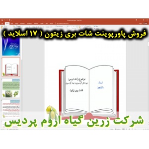 شات بری زیتون, میوه‌ ریز بدون دانه, پاورپوینت شات بری زیتون, ارائه شات بری زیتون, دانلود پاورپوینت شات بری زیتون, اسلاید شات بری زیتون برای ارائه در کلاس, گیاه شناسی زیتون, شرایط آب و هوایی زیتون, عامل مهم دیگری که در احداث باغ زیتون, شات بری در زیتون و ر