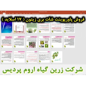 شات بری زیتون, میوه‌ ریز بدون دانه, پاورپوینت شات بری زیتون, ارائه شات بری زیتون, دانلود پاورپوینت شات بری زیتون, اسلاید شات بری زیتون برای ارائه در کلاس, گیاه شناسی زیتون, شرایط آب و هوایی زیتون, عامل مهم دیگری که در احداث باغ زیتون, شات بری در زیتون و ر
