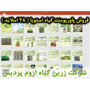 گیاه استویا, پاورپوینت استویا, ارائه استویا, دانلود پاورپوینت استویا, اسلاید استویا برای ارائه در کلاس, مشخصات گیاه استویا, نام انگلیسی استویا, نام علمی استویا, خانواده استویا, کرک روی ساقه استویا, برگ گیاه استویا, ریشه گیاه استویا, گل گیاه استویا, بذر گی