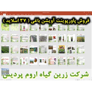 آویشن باغی, پاورپوینت آویشن باغی, ارائه آویشن باغی, دانلود پاورپوینت آویشن باغی, اسلاید آویشن باغی برای ارائه در کلاس, نام انگلیسی آویشن باغی, نام علمی آویشن باغی, خانواده آویشن باغی, مشخصات گیاه شناسی آویشن باغی, نیاز های اکولوژیکی آویشن باغی, ترکیبات شی