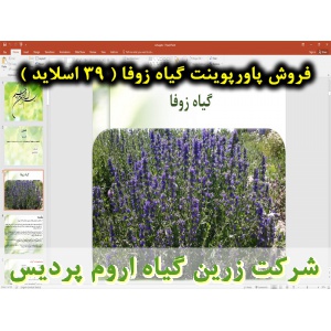 زوفا, گیاه زوفا, پاورپوینت زوفا, ارائه زوفا, دانلود پاورپوینت زوفا, اسلاید زوفا برای ارائه در کلاس, نام انگلیسی زوفا, نام علمی زوفا, خانواده زوفا, مشخصات گیاه زوفا, نیازهای اکولوژیکی زوفا, تناوب کاشت زوفا, مواد وعناصر غذایی مورد نیاز زوفا, آماده سازی خاک 