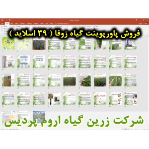 زوفا, گیاه زوفا, پاورپوینت زوفا, ارائه زوفا, دانلود پاورپوینت زوفا, اسلاید زوفا برای ارائه در کلاس, نام انگلیسی زوفا, نام علمی زوفا, خانواده زوفا, مشخصات گیاه زوفا, نیازهای اکولوژیکی زوفا, تناوب کاشت زوفا, مواد وعناصر غذایی مورد نیاز زوفا, آماده سازی خاک 