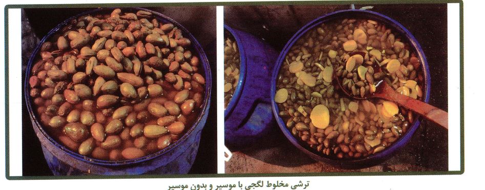 ترشی مخلوط لگجی، کور، هندوانه کوهی، داغ قارپوزی با موسیر و بدون موسیر