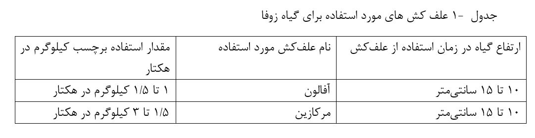 علف کش های مورد استفاده برای گیاه زوفا