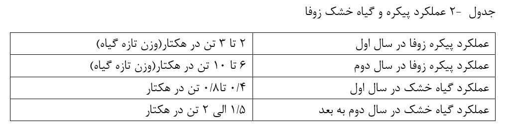 عملکرد پیکره و گیاه خشک زوفا
