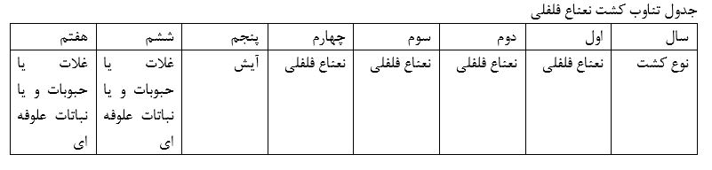 جدول تناوب کشت نعناع فلفلی