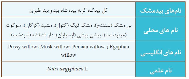 بیدمشک, معرفی بیدمشک, بیدمشک چیست, گیاه بیدمشک, درخت بیدمشک, خصوصیات گیاهشناسی بیدمشک, فنولوژی, زمان ظهور پدیده های حیاتی بیدمشک, پراکنش بیدمشک